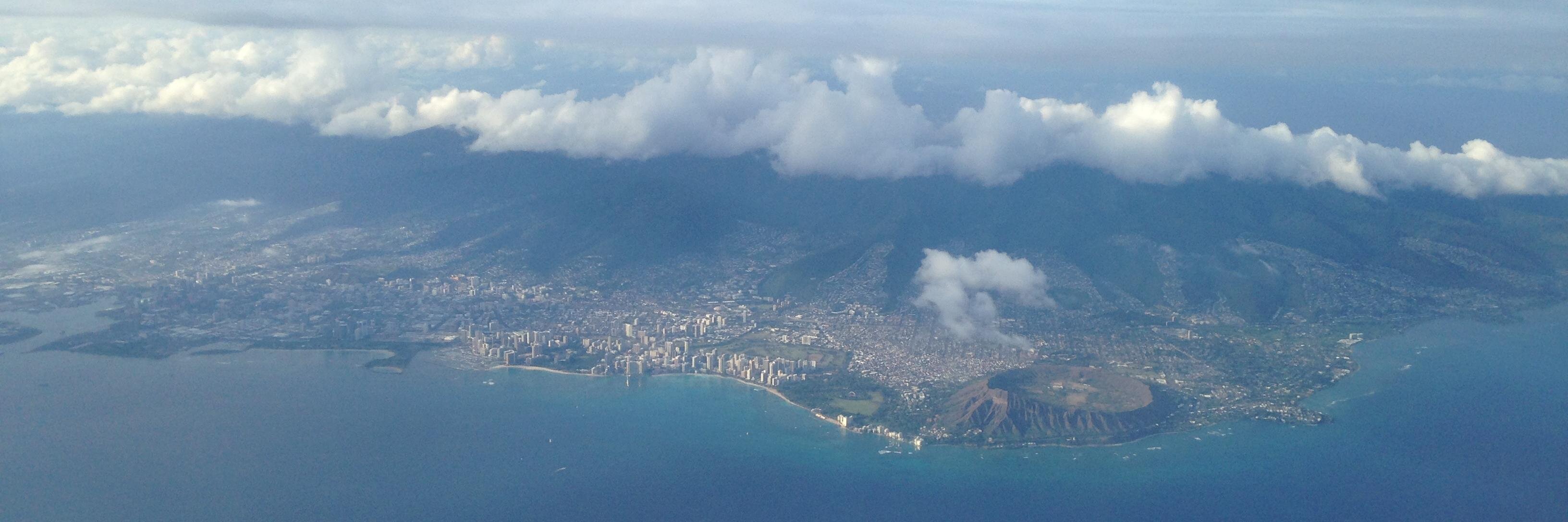 Steve Markowitz banner