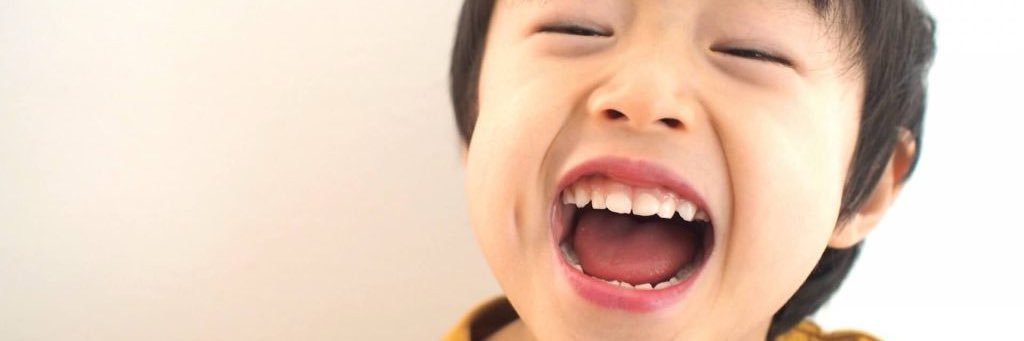 ニコくん　ニコパフ京都手押し banner