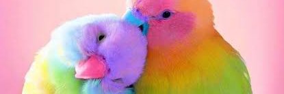 purpleglacial's profile banner image