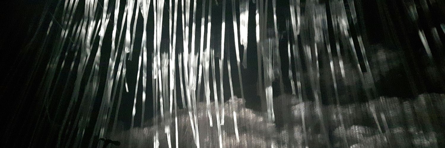 Sigridjeex's profile banner image