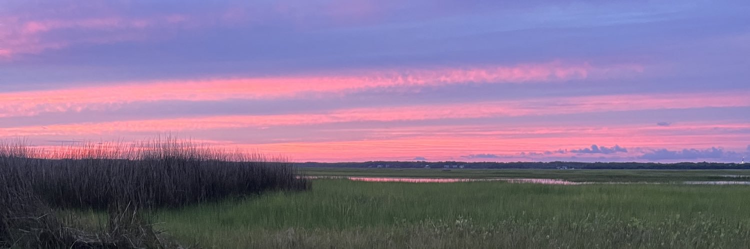 Mary-Kathryn Craft banner