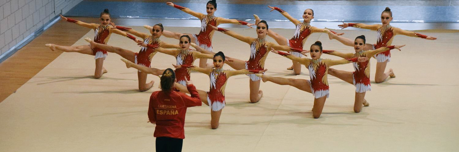 Silvia Arenas banner