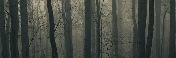 Seduc0's profile banner image