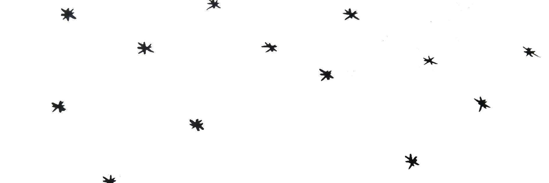 elplanetabe's profile banner image