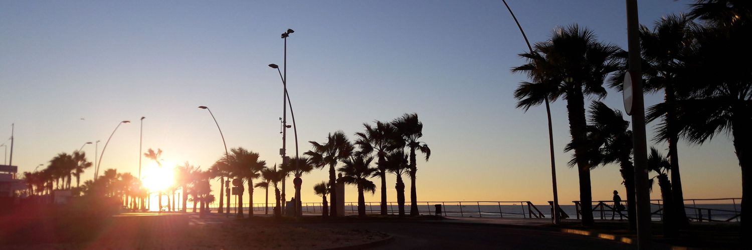 Alberto Varas Pérez banner