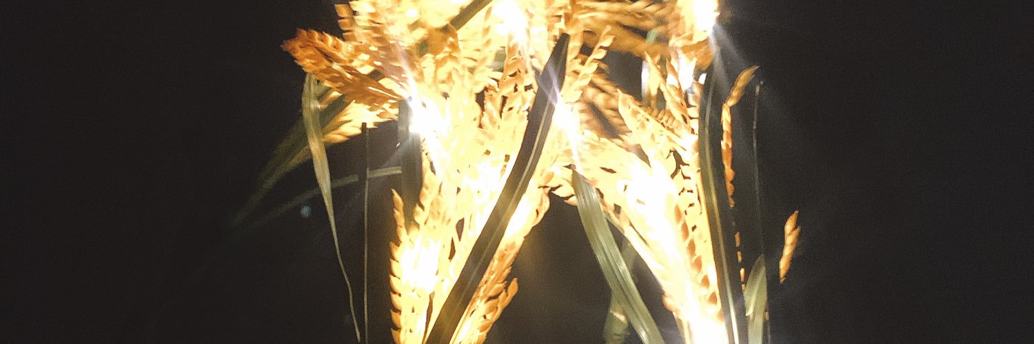 kabaccho's profile banner image