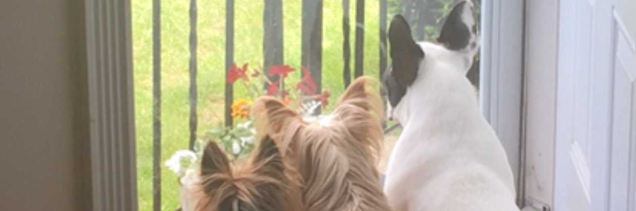 blinhaisabel's profile banner image