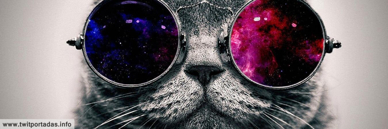 Noelia_Viera's profile banner image