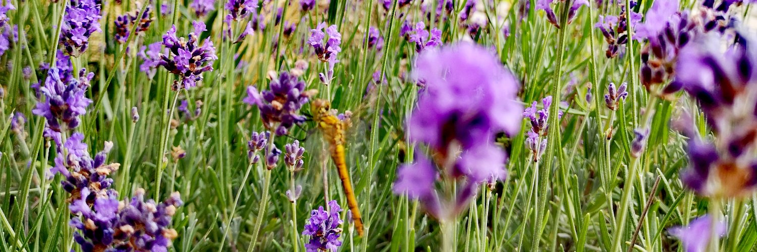 WoutersBirgit's profile banner image