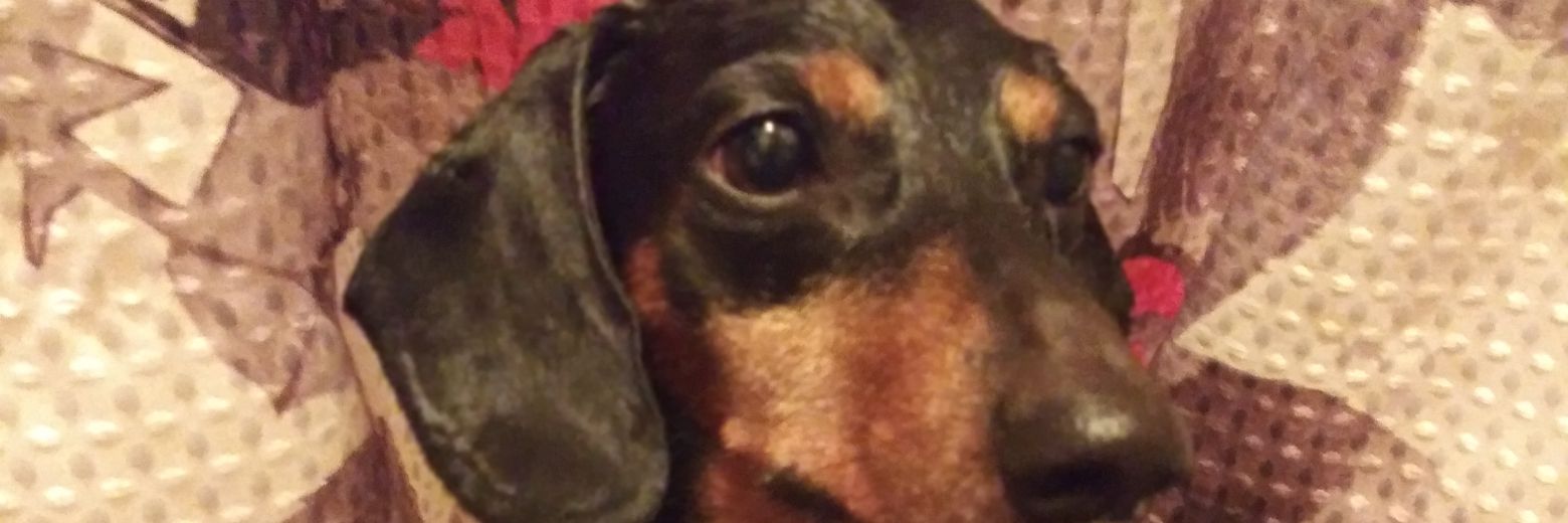 maddy3939's profile banner image