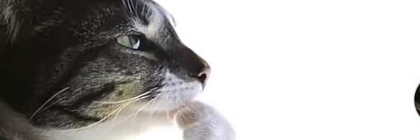 zeusrz's profile banner image