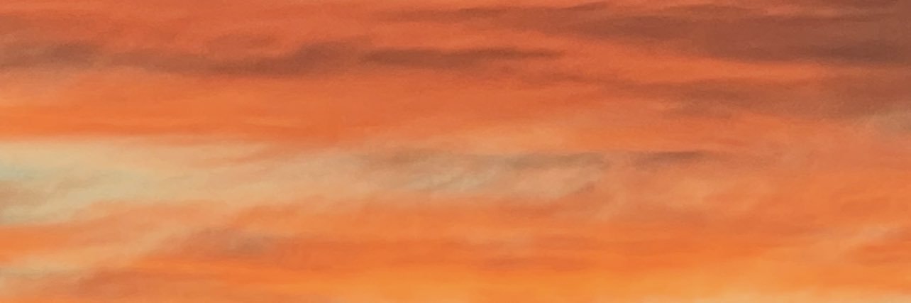 jessrosenbaum13's profile banner image