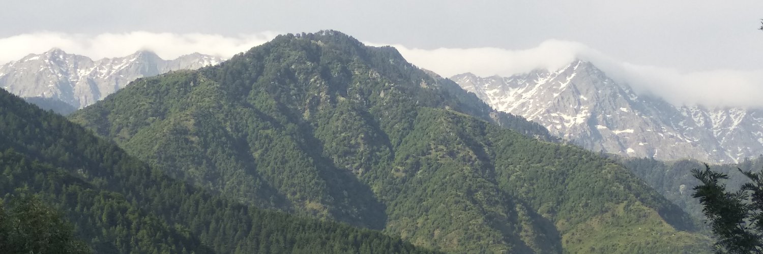vandanasingh160's profile banner image