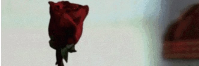 ZENADARE's profile banner image