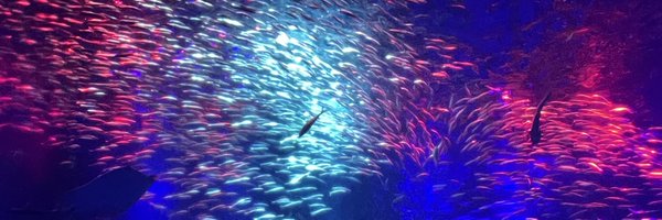 totanpu221 Profile Banner