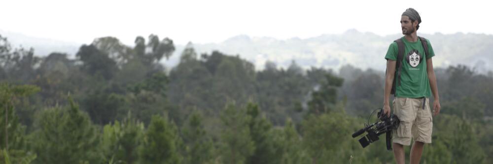 JungleCam's profile banner image