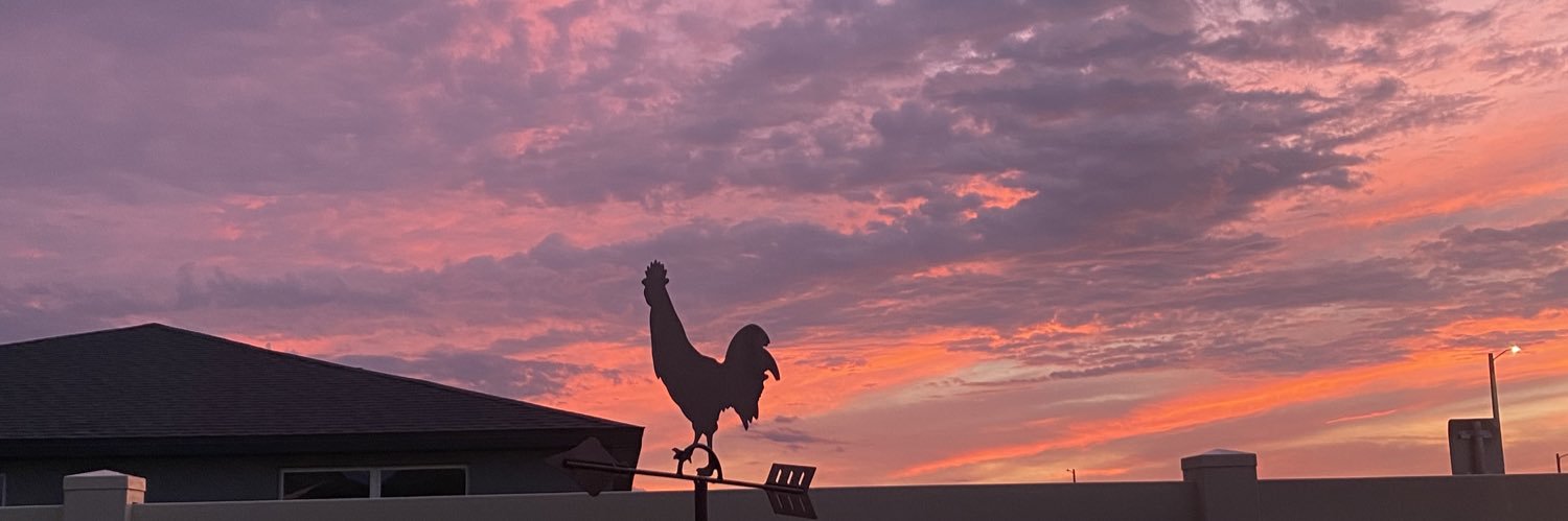 LuiiJara's profile banner image