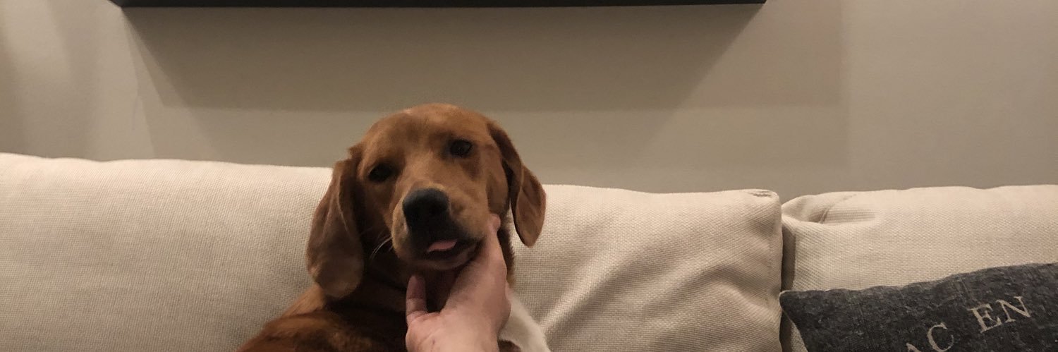 kaytizz's profile banner image