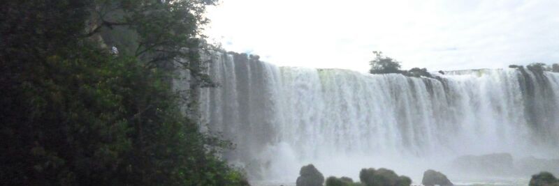 gpacheco_1's profile banner image