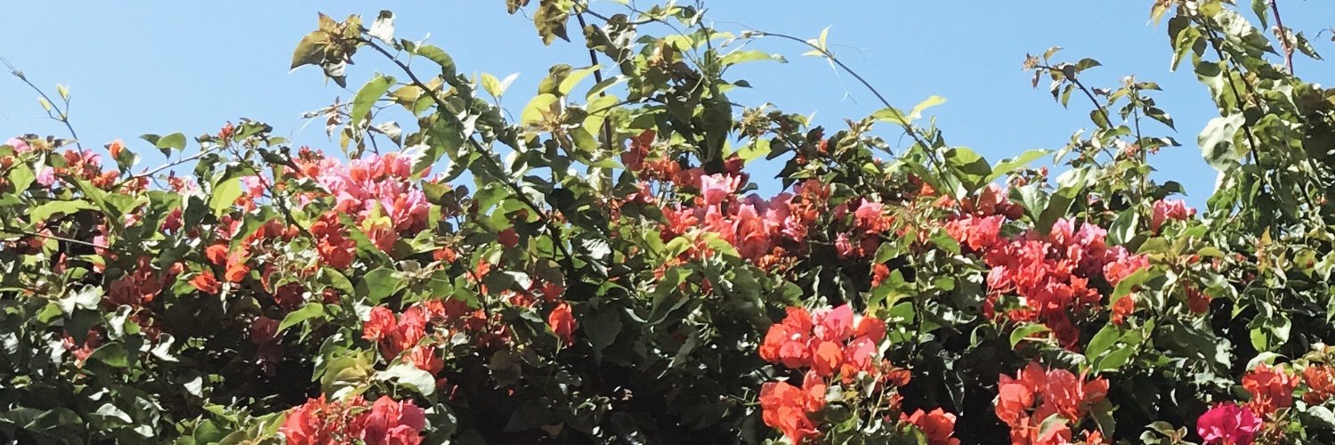 Caleb Ekeroth banner