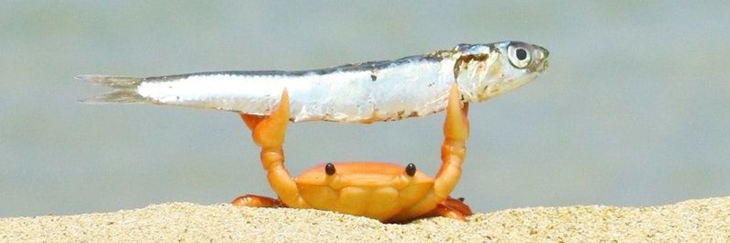 danilologic's profile banner image