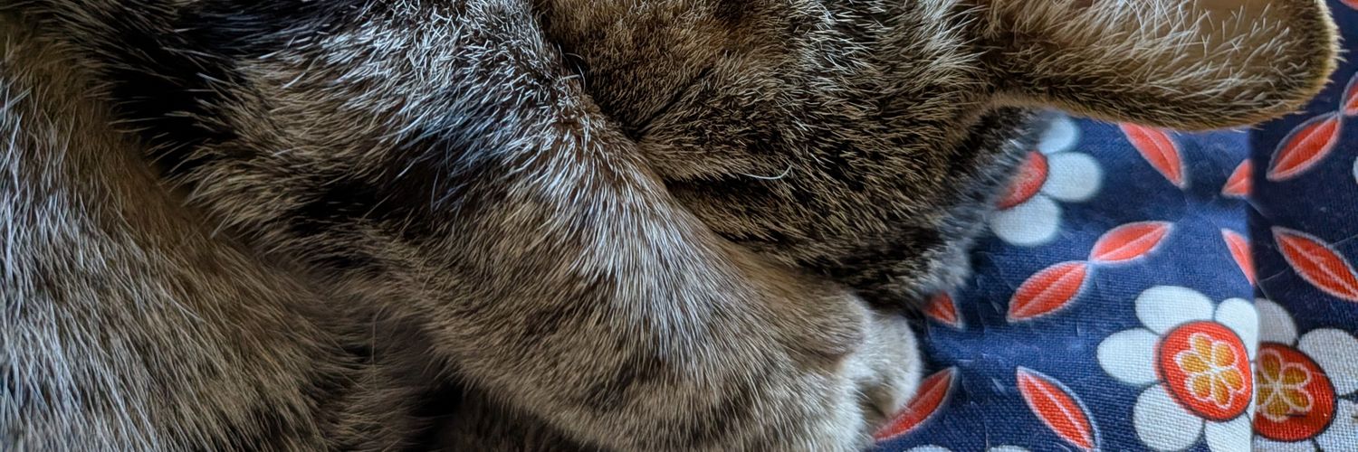 carlifecarlike's profile banner image