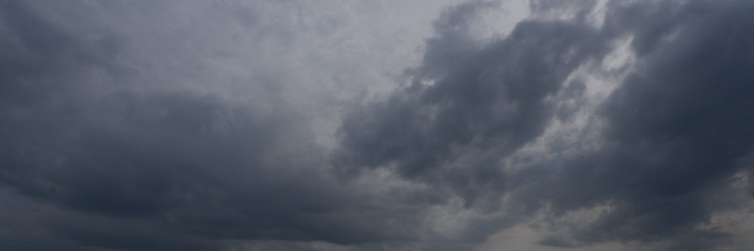 Bogdan Tsechoev banner