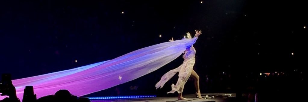 pheeleeppo's profile banner image
