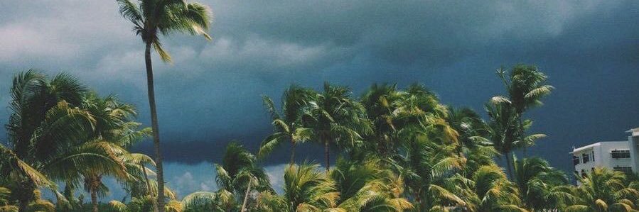 bouncebeck's profile banner image