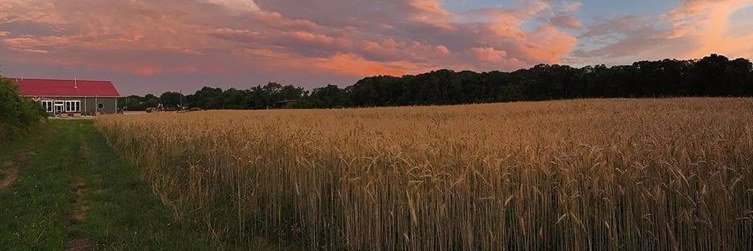 doreybryan's profile banner image