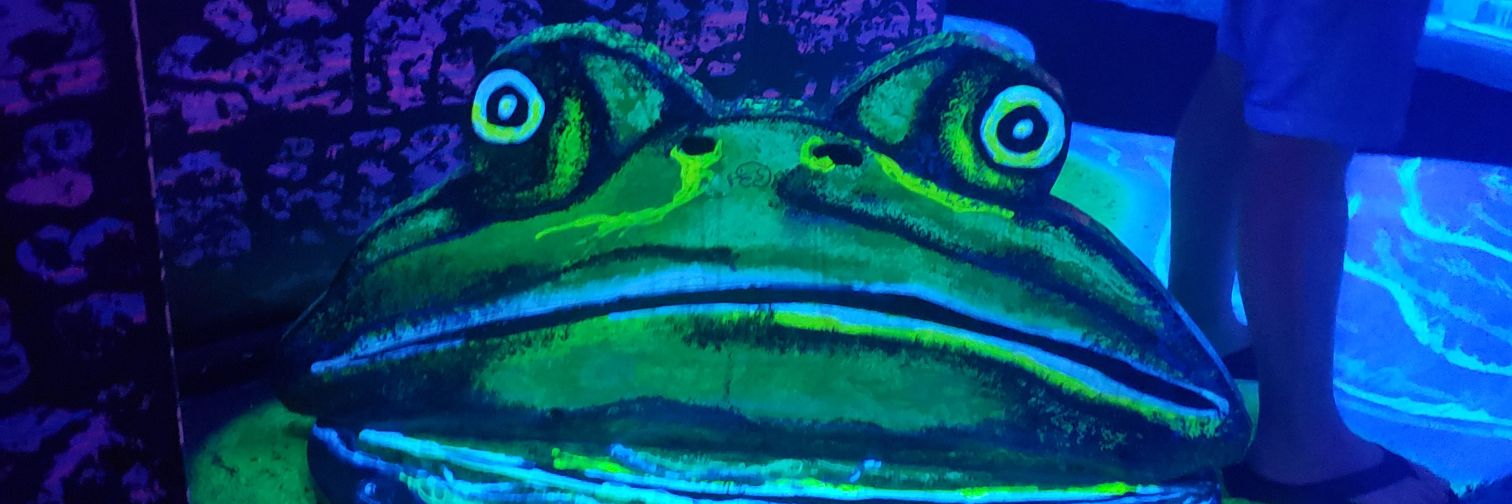 ashthequeer's profile banner image