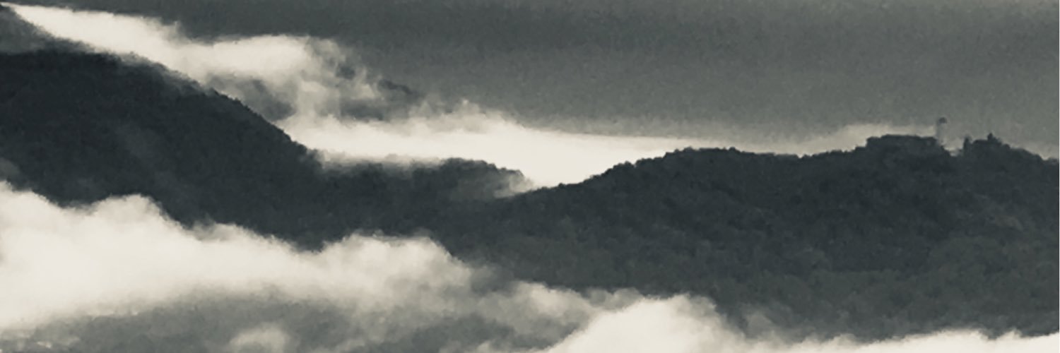 wildwise's profile banner image