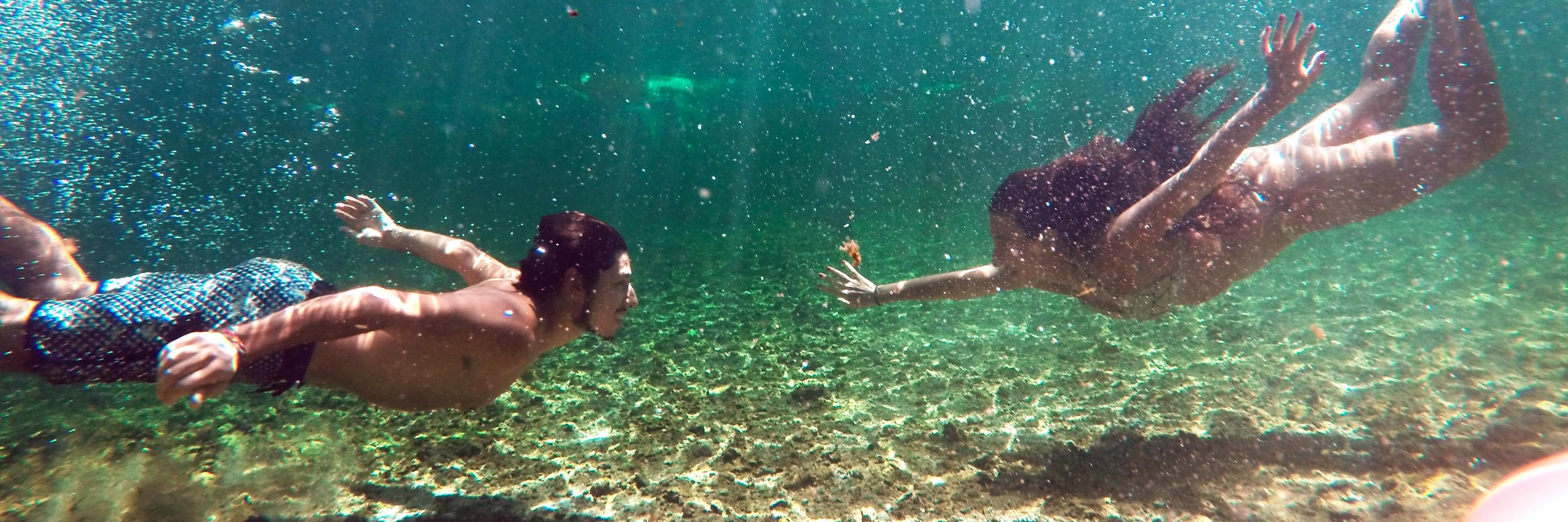 Barbara C. Duarte banner