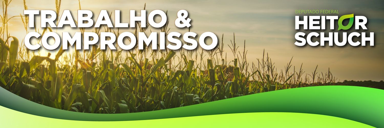 HeitorSchuch's profile banner image