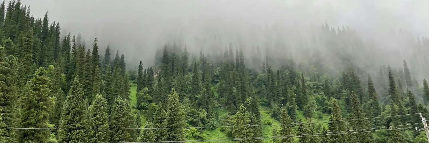 𝐌𝐲 𝐧𝐞𝐢𝐠𝐡𝐛𝐨𝐫 ⸝⸝⸝ 🌲 banner