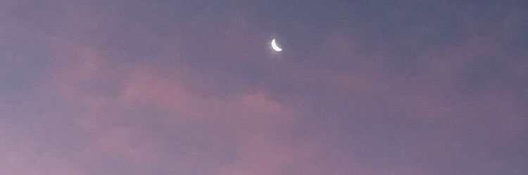 Lizzbeth__'s profile banner image