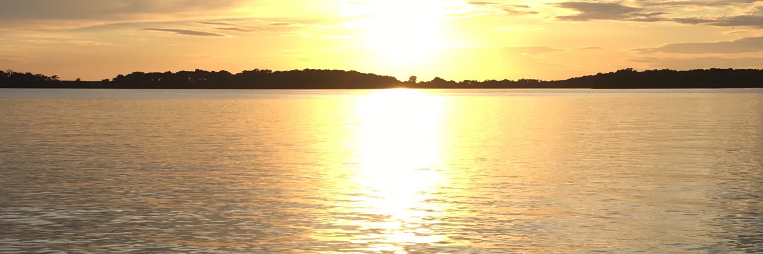 mtonderum's profile banner image