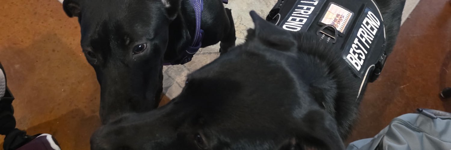 Houston Everett banner