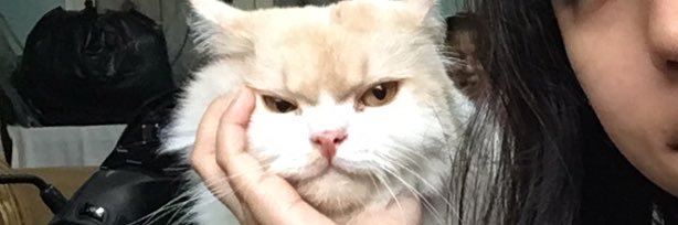 helpmetochill's profile banner image