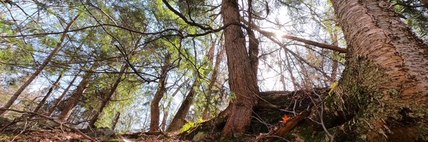 Tingo_89 Profile Banner