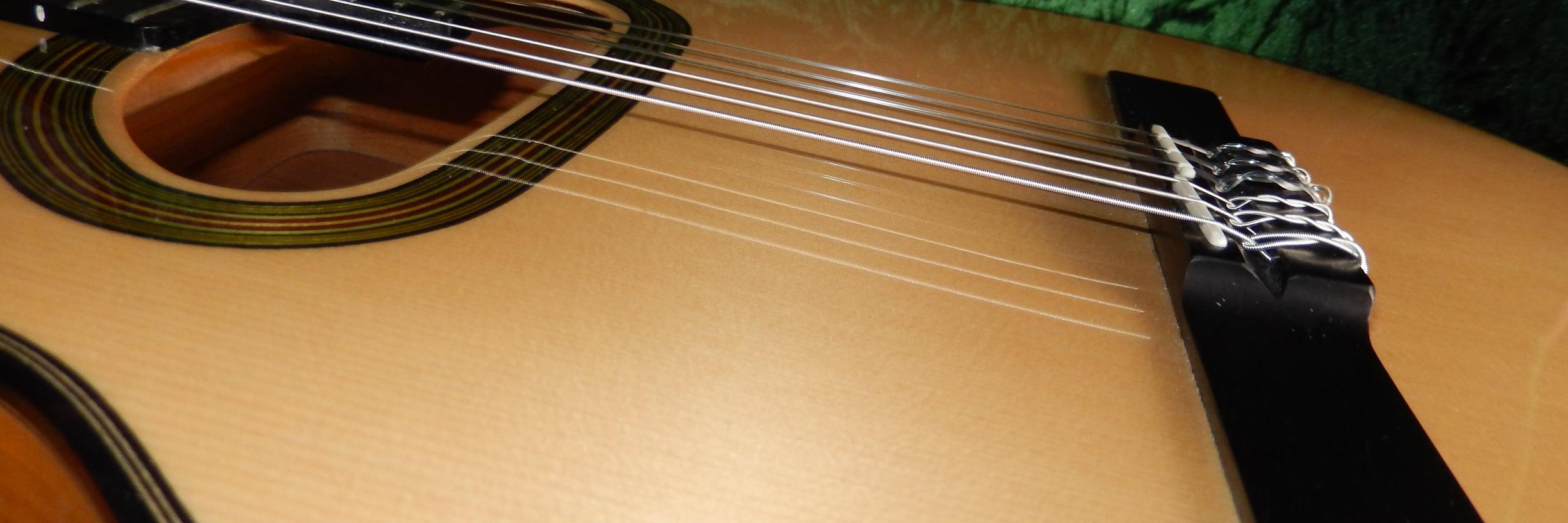 Bill Mann PhD banner