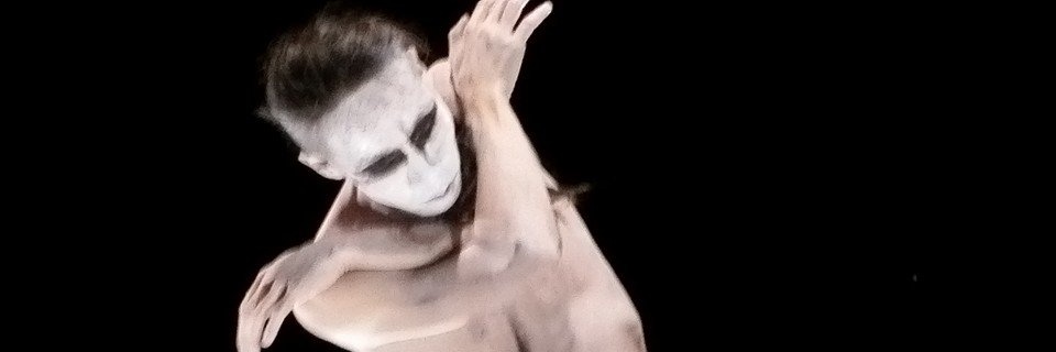 zoo_kunstkammer banner