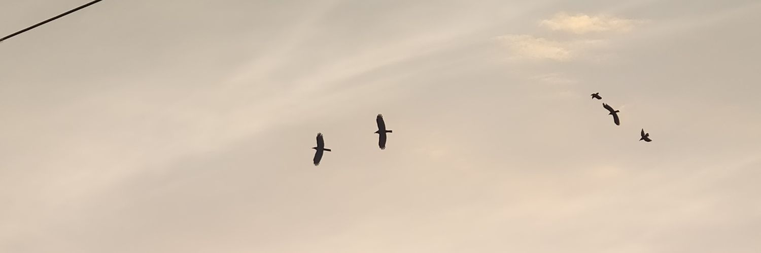 DoctorSayss's profile banner image