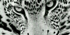 Lynn836's profile banner image