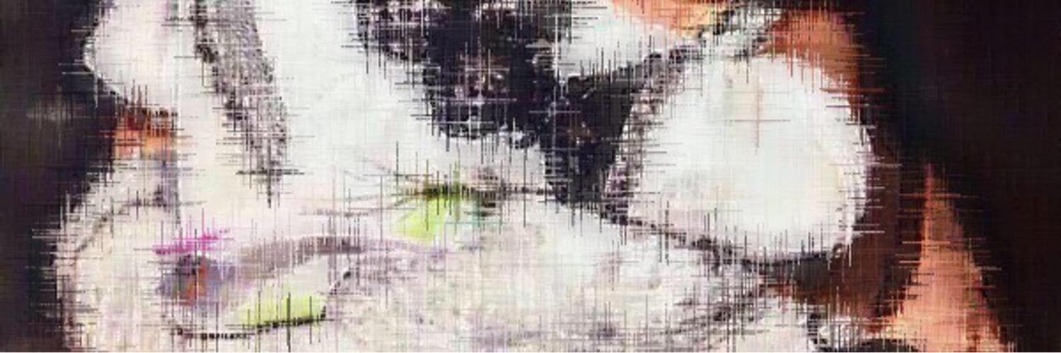 FrqXGe8's profile banner image