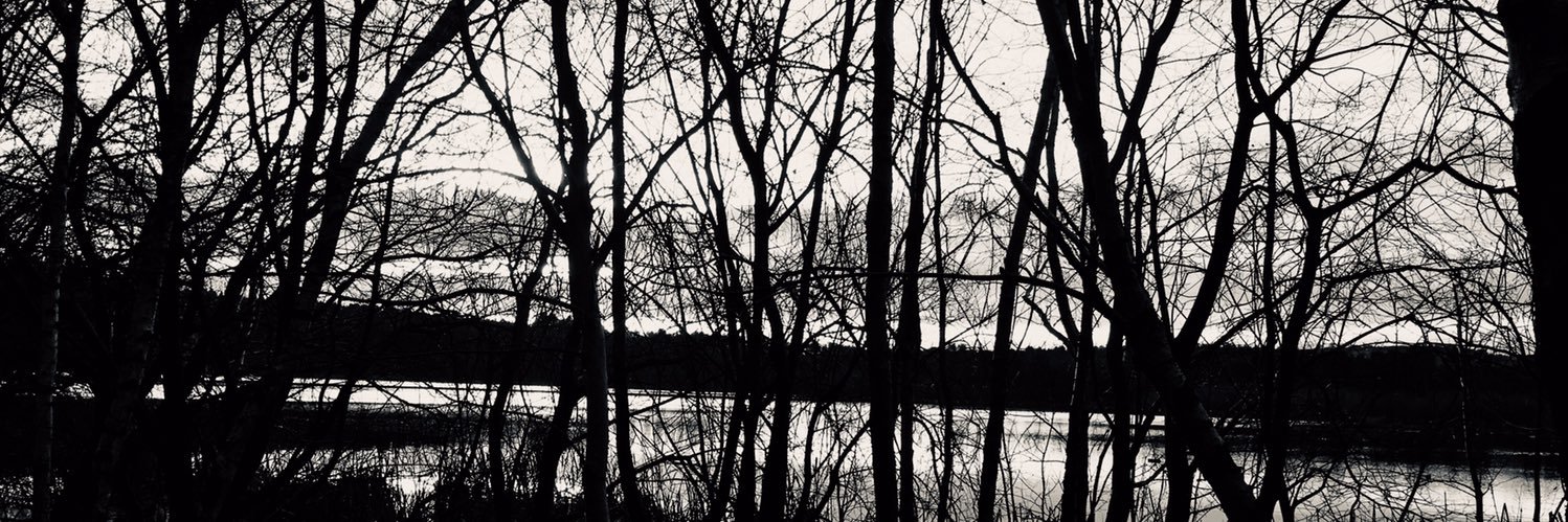 Loutickle's profile banner image