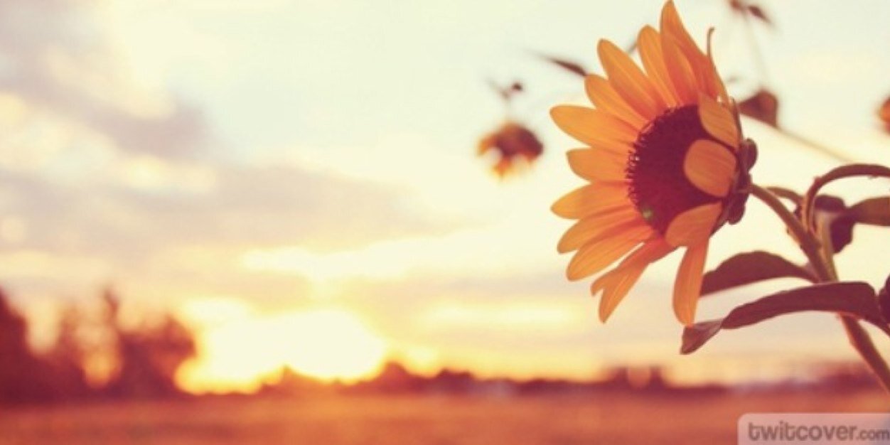 kiahrod's profile banner image