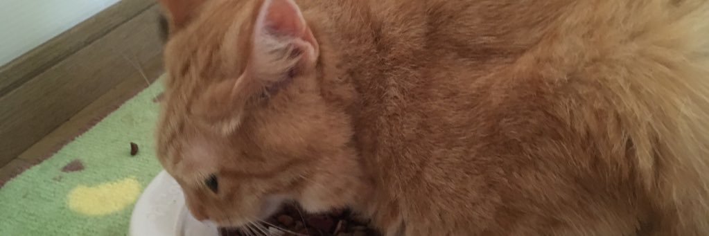 まず、農協じゅんの人を327.5℃の炎で加熱します banner