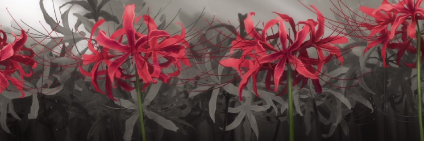 イヴ ⚔️兼丸 banner