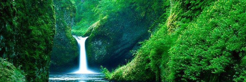 Jack Trochowsky banner